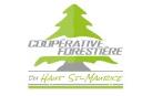Coopérative Forestière du Haut St-Maurice logo